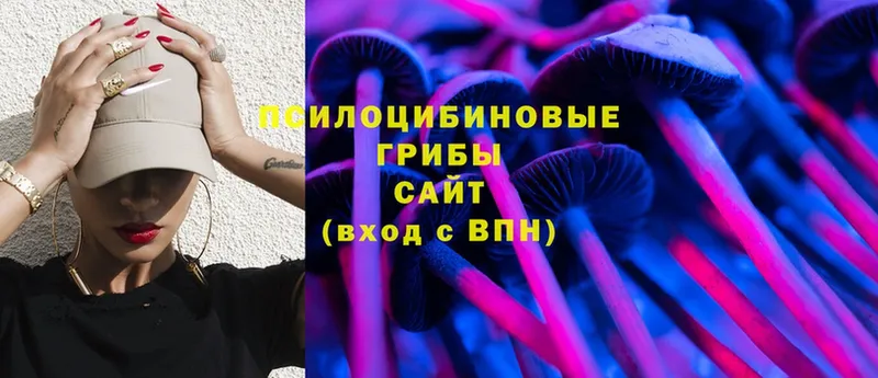 наркота  Абинск  Псилоцибиновые грибы MAGIC MUSHROOMS 